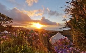 Lotus Yurt